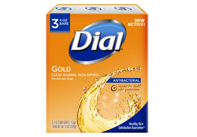 Image: Antibacterial Gold Deodorant Soap (by Dial)