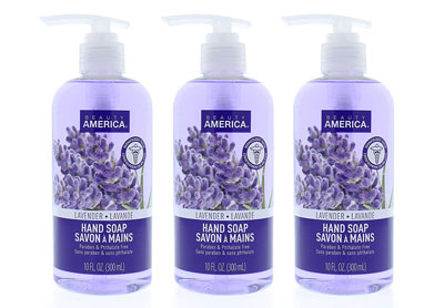Image: Beauty America Lavender Moisturizing Hand Soap (by Beauty America)