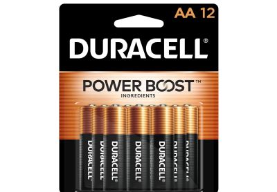 Image: Duracell Coppertop AA Alkaline Batteries with Power Boost Ingredients (12 Count)