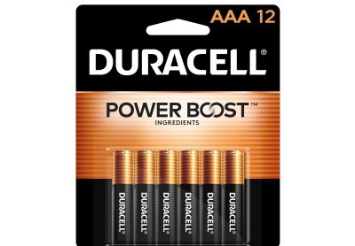 Image: Duracell Coppertop AAA Alkaline Batteries with Power Boost Ingredients (12 Count)