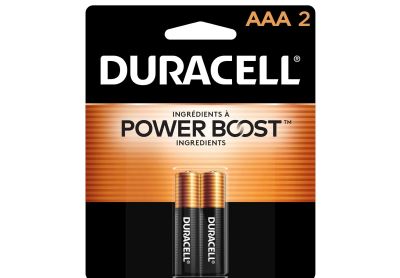 Image: Duracell Coppertop AAA Alkaline Batteries with Power Boost Ingredients (2 Count)