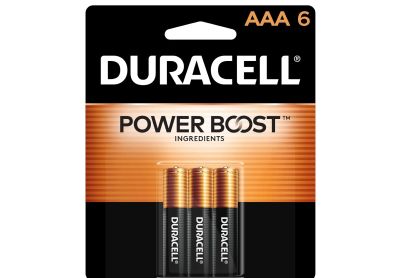 Image: Duracell Coppertop AAA Alkaline Batteries with Power Boost Ingredients (6 Count)