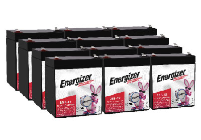 Image: Energizer EN5-12 Professional AGM Sealed Lead Acid Rechargeable Batteries (12 Count)