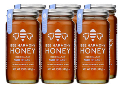 Image: Bee Harmony Northeast Regional Raw Honey (340g x 6 Pack)
