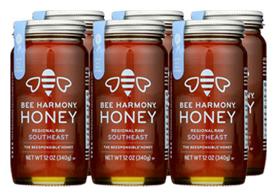 Image: Bee Harmony Southeast Regional Raw Honey (340g x 6 Pack)