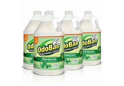 Image: OdoBan Concentrate Disinfectant Laundry and Air Freshener (by Odoban)