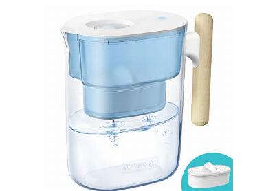 Image: Waterdrop Chubby 10-cup Water Filter Pitcher With 1 Filter (by Waterdrop)